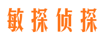 玉泉市侦探调查公司